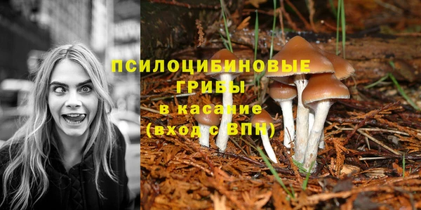 гидропоника Балабаново