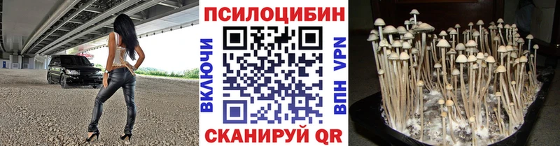 hydra вход  где купить наркоту  Лангепас  мориарти наркотические препараты  Псилоцибиновые грибы GOLDEN TEACHER 